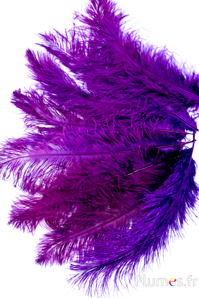 Autruche - 30-40 cm - aubergine-violet